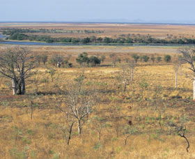 Marglu Billabong - Accommodation Gladstone 0