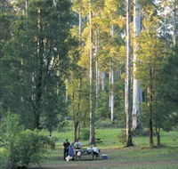 Big Brook Arboretum - Accommodation Gladstone