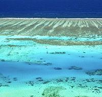Christian Fletcher Photo Images - Dunsborough - Accommodation Gladstone