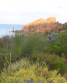 Meelup Trail - Accommodation Gladstone 0
