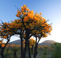 Cape Le Grand National Park - Accommodation Gladstone