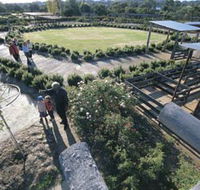 Kojonup Rose Maze - Accommodation Gladstone
