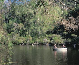 Warren National Park - Accommodation Gladstone 0