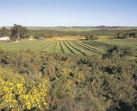 Chapman Valley Scenic Drive - Accommodation Gladstone 0
