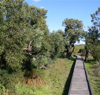 Kepwari Trails Wetland Wonderland - Accommodation Gladstone