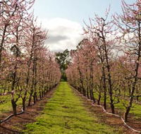 Raeburn Orchards - Accommodation Gladstone