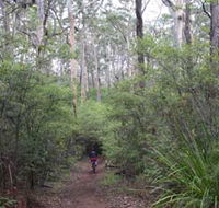 Margaret River Rails Trail - Accommodation Gladstone