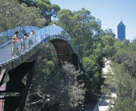 Lotterywest Federation Walkway - Accommodation Gladstone 0