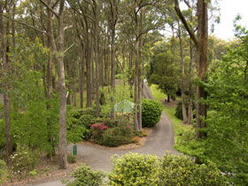 Mount Lofty Botanic Garden - Accommodation Gladstone 0