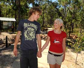 Crooked Brook Forest - Accommodation Gladstone 0