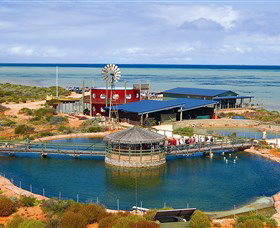 Ocean Park Aquarium - Accommodation Gladstone 0