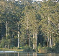 Big Brook Dam - Accommodation Gladstone