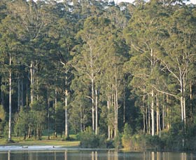 Big Brook Dam - Accommodation Gladstone 0