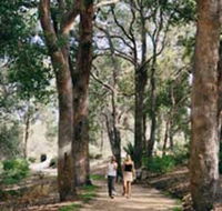 Law Trail and Lotterywest Federation Walkway Kings Park - Accommodation Gladstone