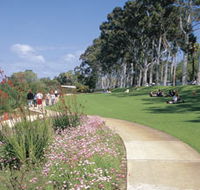 Kings Park Free Guided Walks - Accommodation Gladstone