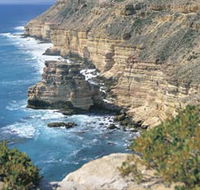 Island Rock and Natural Bridge - Accommodation Gladstone