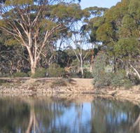 Merredin Railway Dam - Accommodation Gladstone