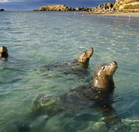 Shoalwater Islands Marine Park - Accommodation Gladstone