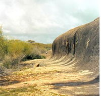 Totadgin Dam Reserve - Accommodation Gladstone