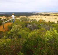 Archer Drive Scenic Drive and Lookout - Accommodation Gladstone
