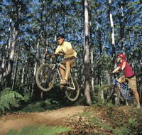 Leeuwin-Naturaliste National Park - Cowaramup - Accommodation Gladstone