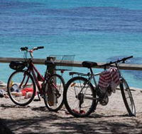 Parker Point Marine Snorkel Trail - Accommodation Gladstone