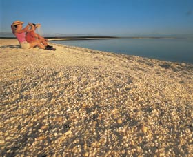 Shell Beach - Accommodation Gladstone 0