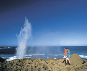 The Blowholes Carnarvon - Accommodation Gladstone 0