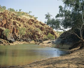 Caroline Pool - Accommodation Gladstone 0