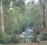 Cascades - Accommodation Gladstone