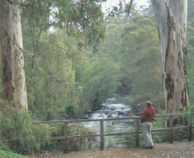 Cascades - Accommodation Gladstone 0