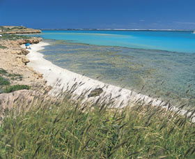 Coral Bay Walk Way - Accommodation Gladstone 0