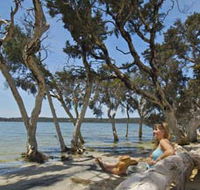 Stokes National Park - Accommodation Gladstone