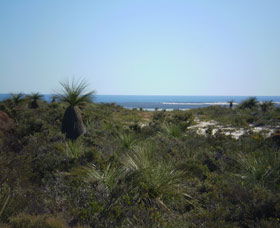 Lesueur National Park - Accommodation Gladstone 0