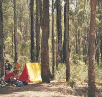 Lane Poole Reserve - Accommodation Gladstone