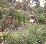 The Mythic Mazes - Accommodation Gladstone