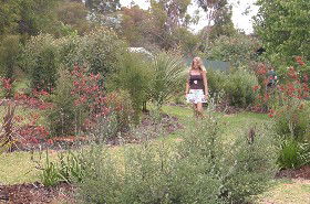The Mythic Mazes - Accommodation Gladstone 0