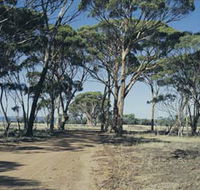 Lake Dumbleyung - Accommodation Gladstone