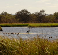 Anytime Adventures in Mandurah  the Peel Region - Accommodation Gladstone