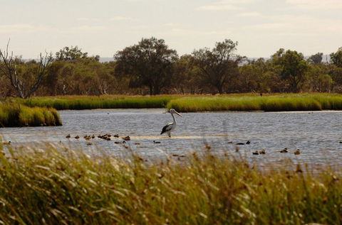 Anytime Adventures In Mandurah & The Peel Region - Accommodation Gladstone 0