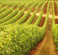 Happs Wines - Accommodation Gladstone