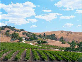 Bethany Wines - Accommodation Gladstone 0