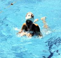 Mount Gambier Aquatic Centre - Accommodation Gladstone