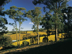 Lobethal SA Accommodation Gladstone