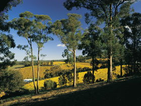 Lobethal Archives And Historical Museum - Accommodation Gladstone 0