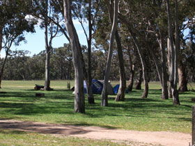 Black Cockatoo Bush Camp - Accommodation Gladstone 0