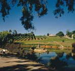 Mount Hurtle Winery home of Geoff Merrill Wines - Accommodation Gladstone