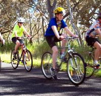 Penola Cycling Trails - Accommodation Gladstone