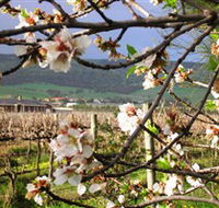 Cradle of Hills McLaren Vale Winery - Accommodation Gladstone