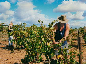 Torbreck Vintners - Accommodation Gladstone 0